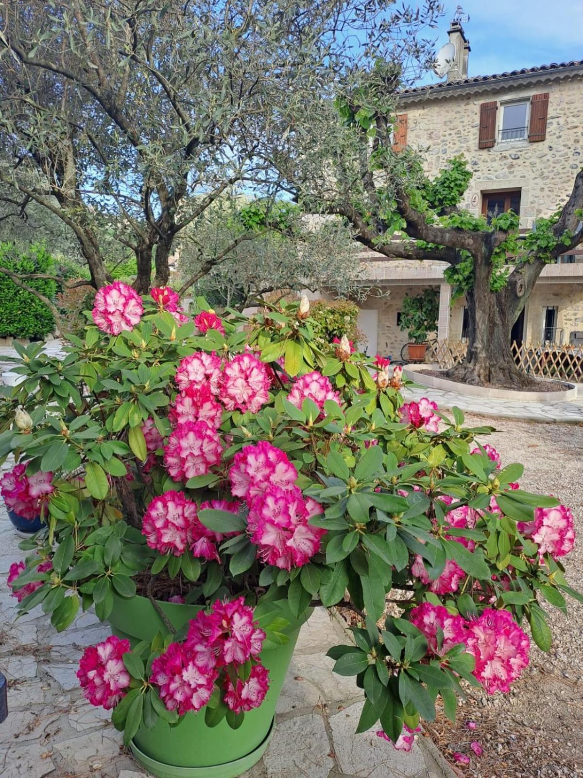 Gite 3 "Le Canal De Baza" Aux Magnolias Aubenas Buitenkant foto