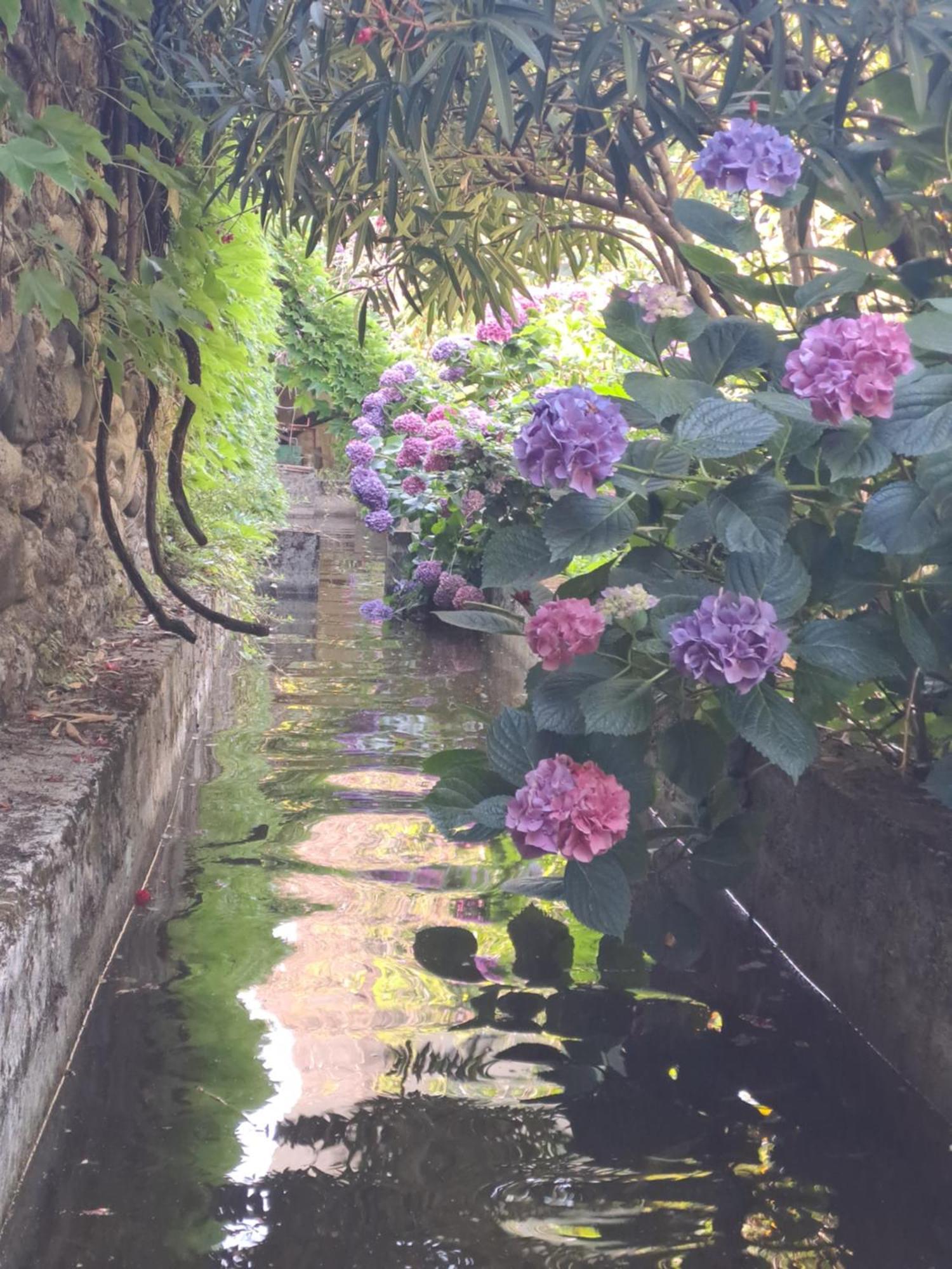 Gite 3 "Le Canal De Baza" Aux Magnolias Aubenas Buitenkant foto