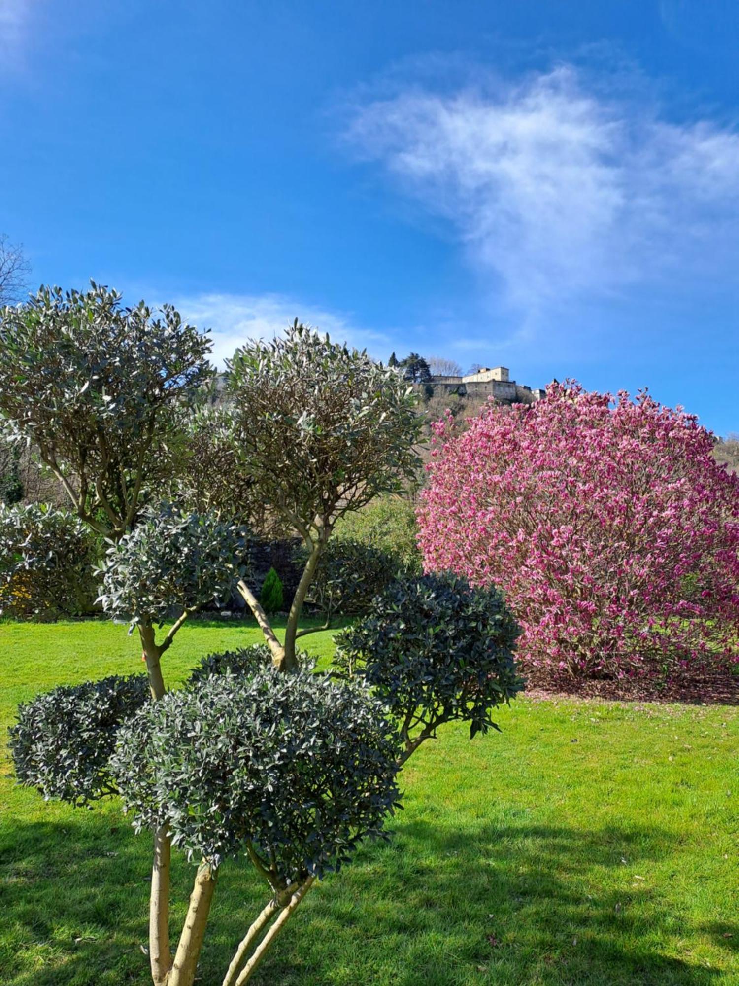 Gite 3 "Le Canal De Baza" Aux Magnolias Aubenas Buitenkant foto